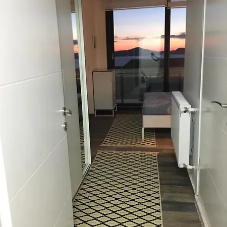 Gato Villa Milas