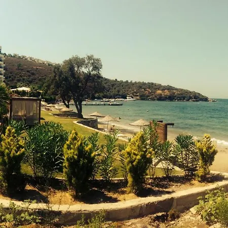 Villa Gato *